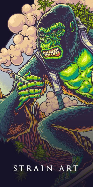 Strain Art Artgraris Illustrations Agency