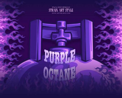 Strain Purple Octane Illustrations Agency