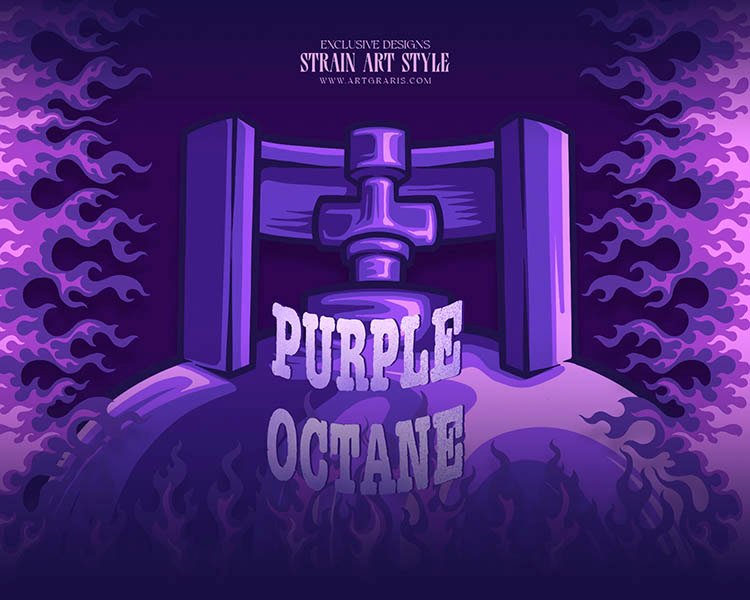 Strain Purple Octane Illustrations Agency